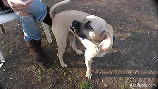 5417 pussy porn videos